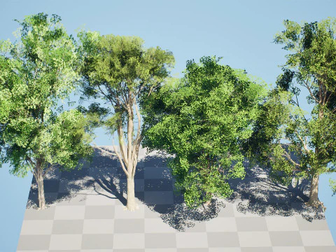 Burma Padauk Trees 3D 3D Model