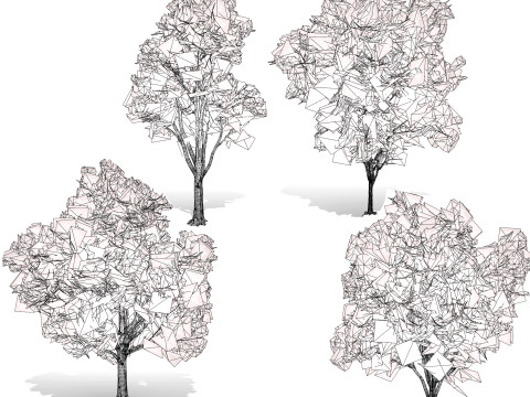Burma Padauk Trees 3D 3D मॉडल