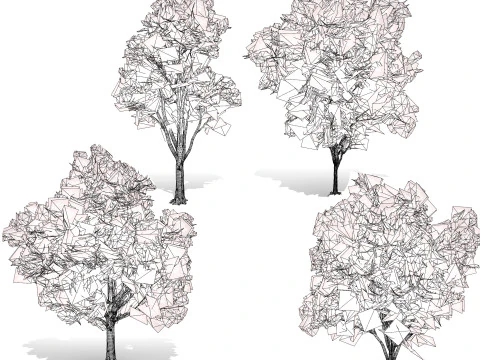 Burma Padauk Trees 3D 3D Model