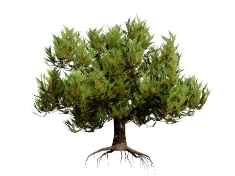 Pakiet Sosny Model 3D