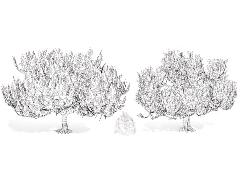 Pine Tree Pack Model 3D
