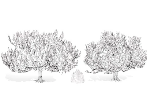 Pakiet Sosny Model 3D