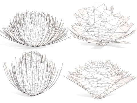 Yucca gloriosa 3D Модель