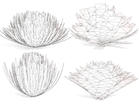 Yucca gloriosa 3D Model