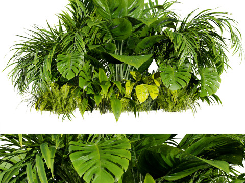 Tropical Plants Collection Modelo 3D