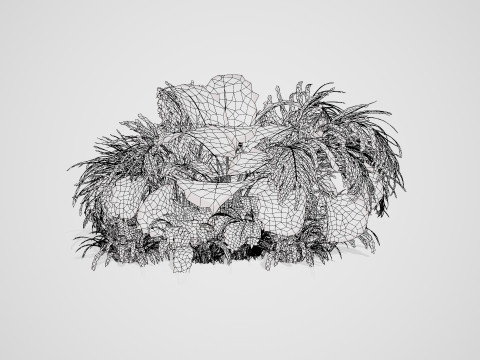 Tropical Plants Collection Modelo 3D