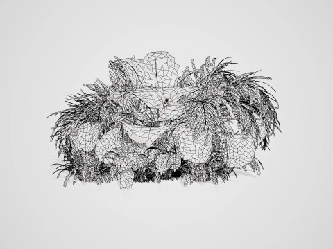 Tropical Plants Collection 3D Model