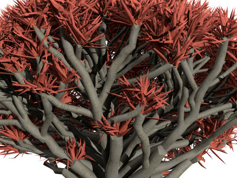 Дерево крові дракона 3D Модель