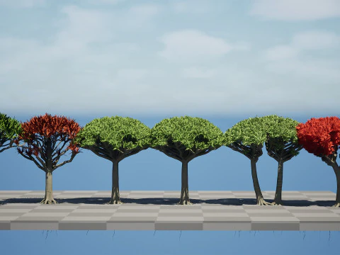 竜血樹 3Dモデル