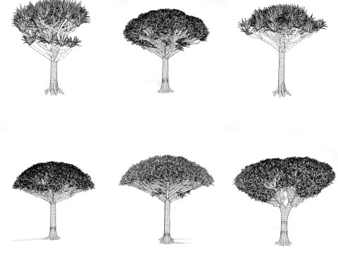 Дерево крові дракона 3D Модель