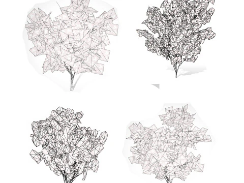 Japanese Maple Tree Model 3D Model