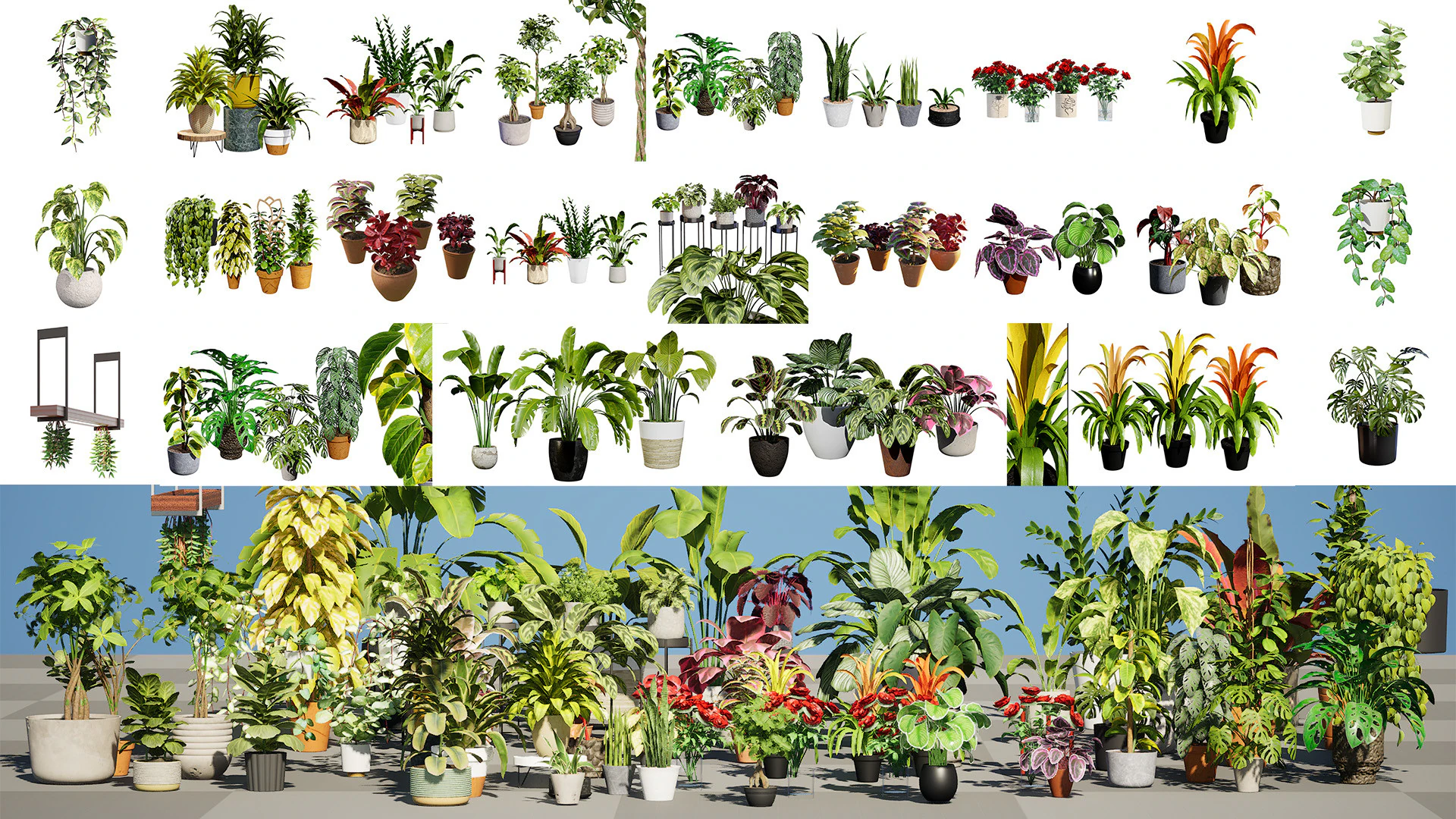 Houseplants 3d low-poly Assets 3D Model .c4d .max .obj .3ds .fbx .stl .blend