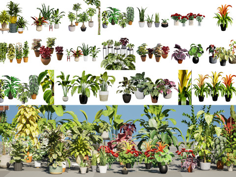Houseplants 3d low-poly Assets 3Dモデル