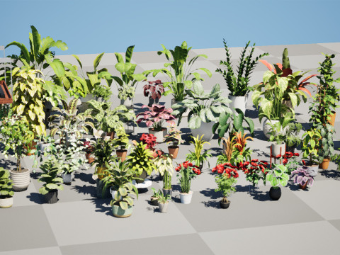 Houseplants 3d low-poly Assets 3D Модель