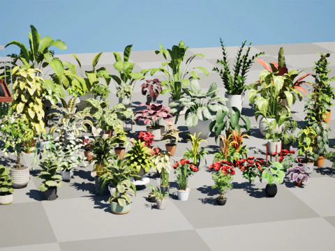 Houseplants 3d low-poly Assets 3D Model