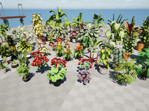 Houseplants 3d low-poly Assets 3D Модель