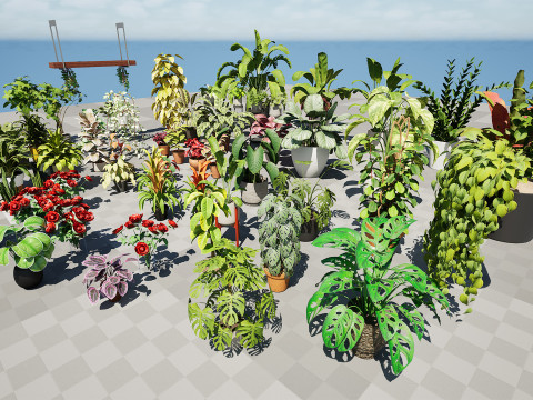 Houseplants 3d low-poly Assets 3D Модель