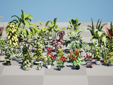 Houseplants 3d low-poly Assets 3D Модель