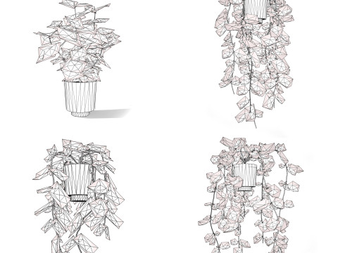 Houseplants 3d low-poly Assets 3D Модель