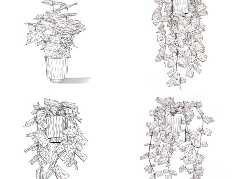 Houseplants 3d low-poly Assets 3D Model