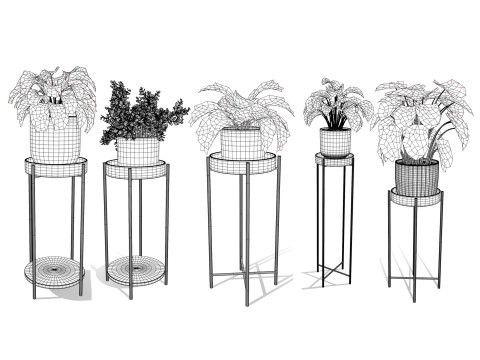 Houseplants 3d low-poly Assets 3D Модель