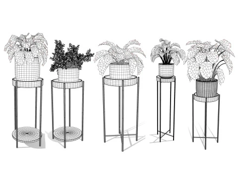 Houseplants 3d low-poly Assets 3D Model
