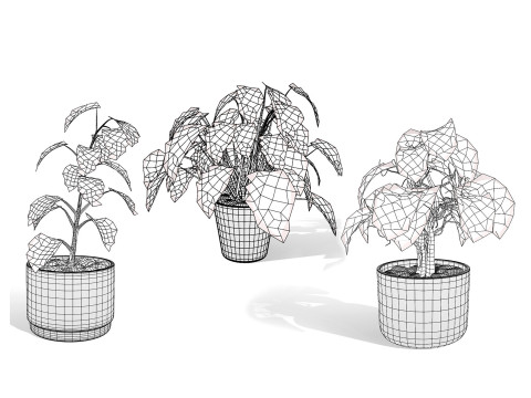 Houseplants 3d low-poly Assets 3D Модель