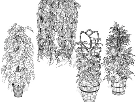 Houseplants 3d low-poly Assets 3D Модель