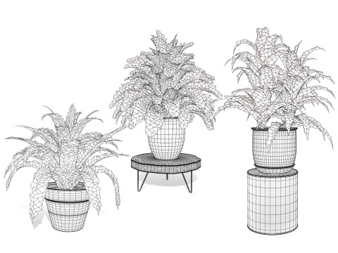 Houseplants 3d low-poly Assets 3D Модель