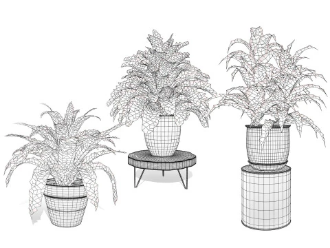 Houseplants 3d low-poly Assets 3D Model
