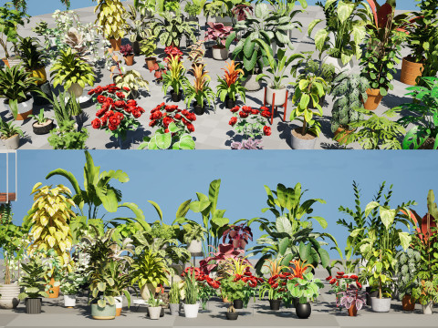 Houseplants 3d low-poly Assets 3D Модель