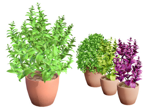 Low-Poly Basil Plants with Free Tutorial 3D-Modell