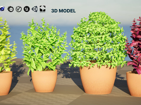 Low-Poly Basil Plants with Free Tutorial Model 3D