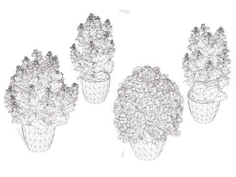 Low-Poly Basil Plants with Free Tutorial Model 3D