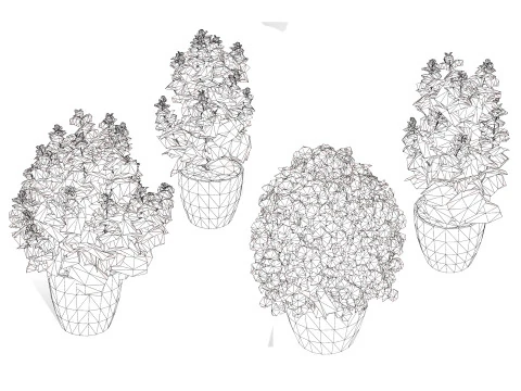 Rośliny bazylii Low-Poly z bezpłatnym samouczkiem Model 3D