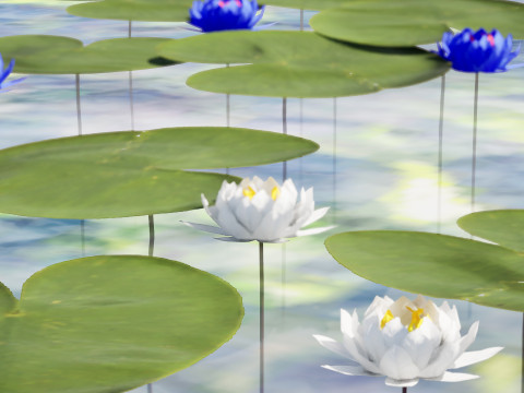Water Lily Collection Modelo 3D