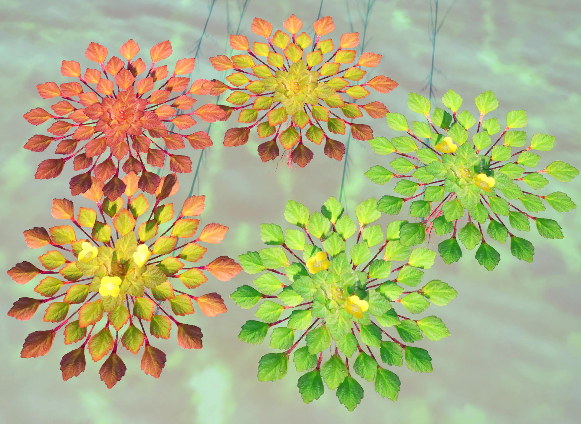 Planta mosaico Modelo 3D .c4d .max .obj .3ds .fbx .stl .blend 