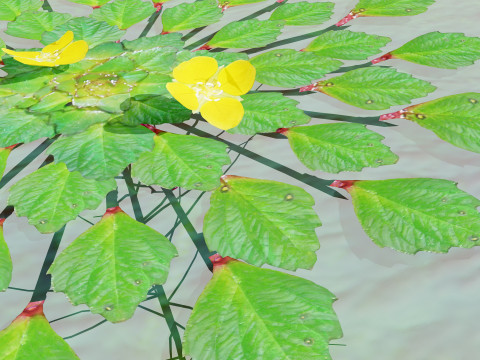 Mosaic Plant Model 3D