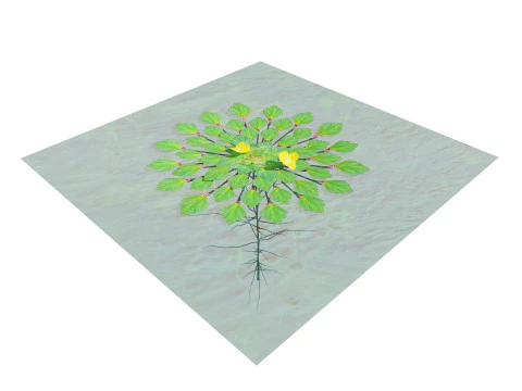 Planta mosaico Modelo 3D
