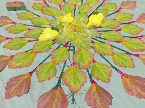 Planta mosaico Modelo 3D