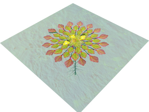 Mosaic Plant Model 3D