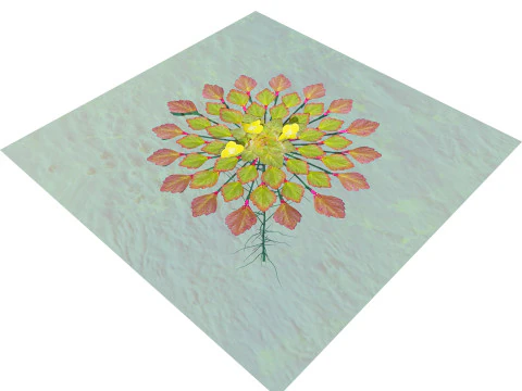 Planta mosaico Modelo 3D