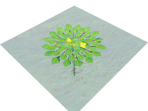Planta mosaico Modelo 3D