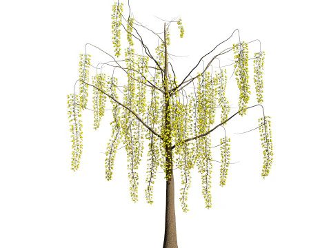 Goldener Duschbaum 3D Modell