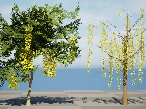 Goldener Duschbaum 3D Modell