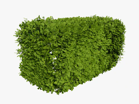 Bush procedurale spazzato dal vento Modello 3D