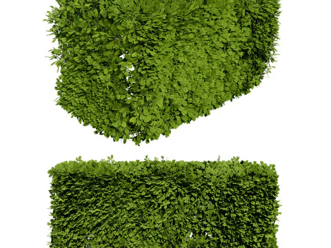 Windswept Procedural Bush 3D Model