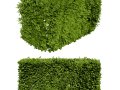 Windswept Procedural Bush 3D Модель