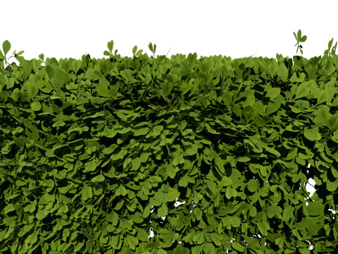 Bush procedurale spazzato dal vento Modello 3D