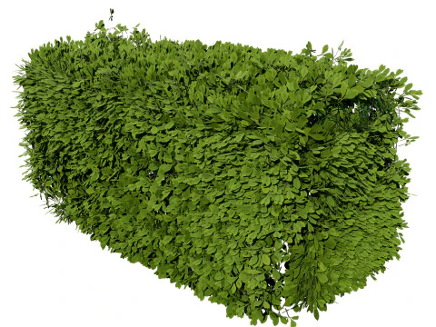 Bush procedurale spazzato dal vento Modello 3D